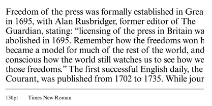 Times New Roman Font Poster 3